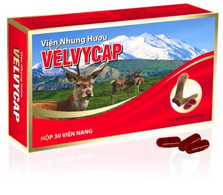 Nhung Hươu - 4 công dụng có thể bạn chưa biết! - 2 Velvycap được làm từ 100% nhung hươu NewZealand