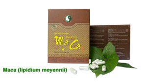 “Nhân sâm Pê-ru” - Thảo dược tốt cho “quý ông”