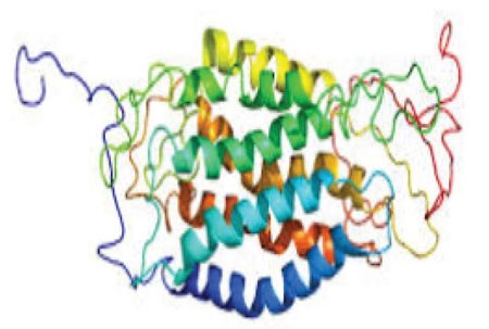 Sinh lý nữ: Suy giảm liệu có nguy hiểm? - 1 Hormone và sinh lý nữ