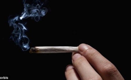 Hút cần sa khi còn thiếu niên làm giảm IQ