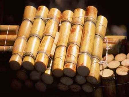 Mát mẻ, lợi tiểu: Mía