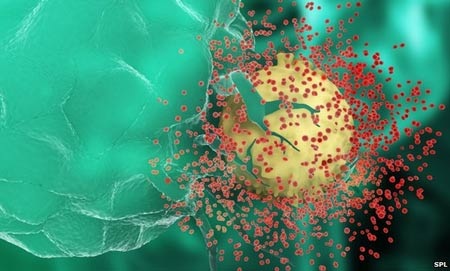 Dịch bệnh AIDS có thể được kiểm soát vào năm 2030 - 1 Dịch bệnh AIDS có thể được kiểm soát vào năm 2030