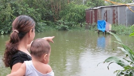 Kinh hoàng vào ổ dịch tiêu chảy cấp ở Sài Gòn - 1 Cầu tiêu
đi trǪn ao cá và ngay trước mặt nhà của chị Đào.