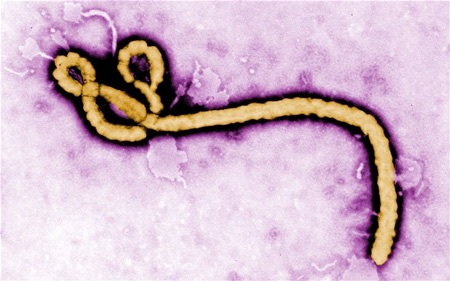 Tình hình dịch Ebola trên khắp thế giới - 4 Anh: Nhiều người tự
nguyện cách ly tại nhà sau khi trở về từ Tây Phi