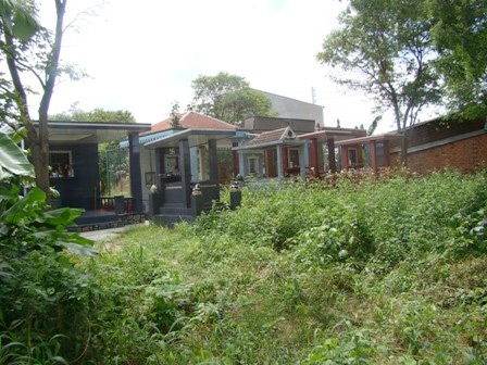 Những ngôi mộ này cách Văn phòng Cty Canh Chua Việt khoảng hơn 10m