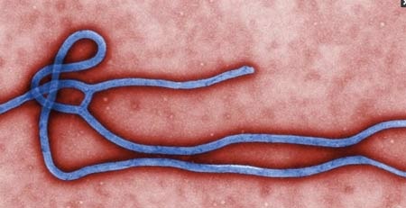 Xét nghiệm mới phát hiện Ebola trong 30 phút