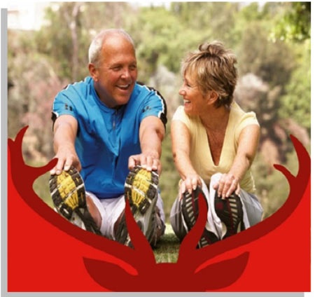 Chống lão hóa, kéo dài tuổi thọ