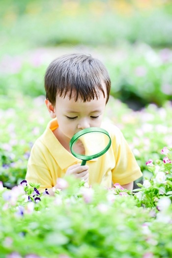 Chăm sóc dinh dưỡng cho bé 1-2 tuổi - 1 Từ 1 đến 2 tuổi, sau khi đi “sõi” thì bé bắt đầu thích thú muốn tự tìm hiểu thế giới xung quanh.