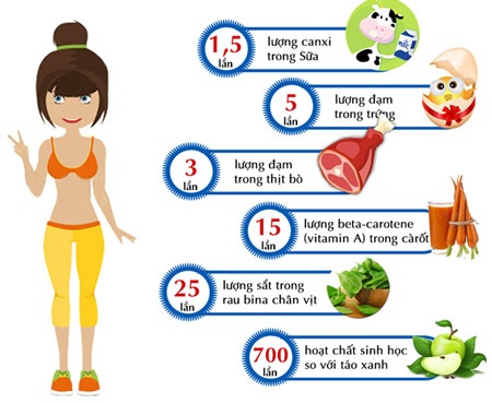 Những công dụng tuyệt vời của Tảo Mặt trời Spirulina - 3 3. Tảo Mặt trời giúp tăng cường hệ miễn dịch và phòng chống bệnh tật