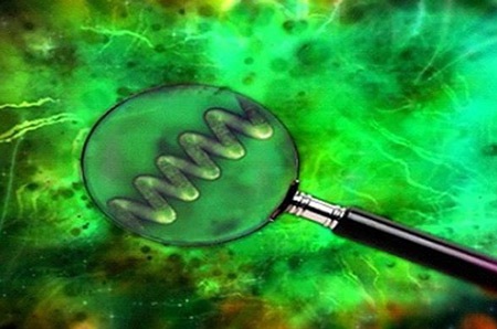 Những công dụng tuyệt vời của Tảo Mặt trời Spirulina - 1 Những công dụng tuyệt vời của Tảo Mặt trờiSpirulina