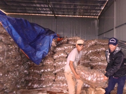 Cơ quan chức năng chuẩn bị tiêu hủy 26 tấn khoai tây Trung Quốc.