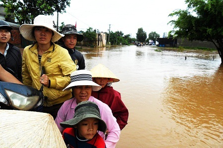 Hoang mang sau lũ.