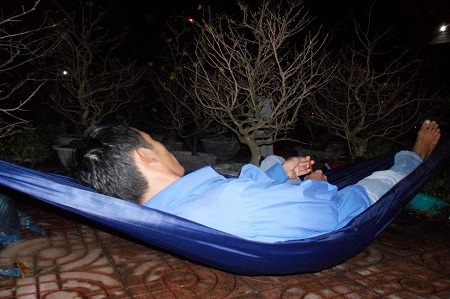 Mắc võng nằm ngủ canh mai.