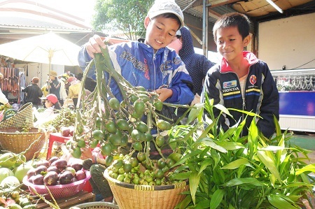 Lá chuối và lá dong phục vụ cho việc gói bánh chưng, bánh tét.