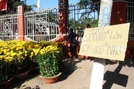 Các chợ hoa đồng loạt “xả” hàng ngày cuối năm