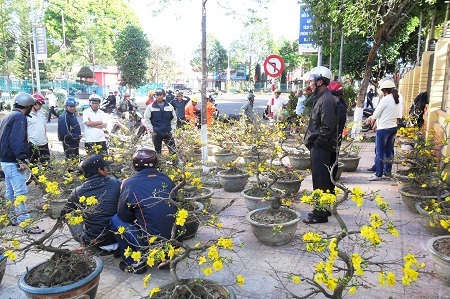 Sức mua ế ẩm, người chủ bán hoa cúc chỉ biết đứng dựa lưng bên bức tường.