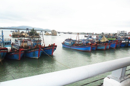 Tại sông Cái (Nha Trang) rất nhiều tàu thuyền khác cũng nằm bờ tương tự.