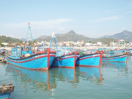 Những mẻ cá trở về từ vùng biển “nóng” Hoàng Sa, Trường Sa