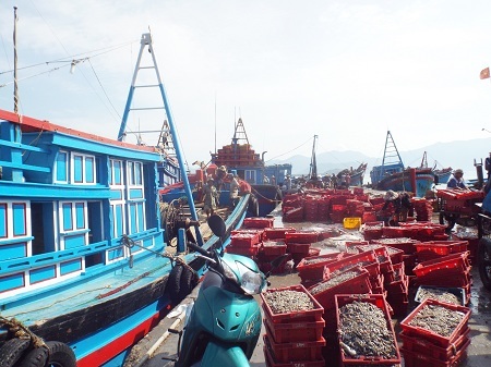 Những mẻ cá trở về từ vùng biển “nóng” Hoàng Sa, Trường Sa