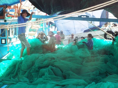 Những mẻ cá trở về từ vùng biển “nóng” Hoàng Sa, Trường Sa