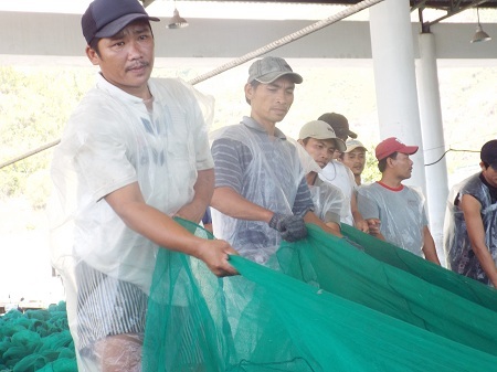 Những mẻ cá trở về từ vùng biển “nóng” Hoàng Sa, Trường Sa