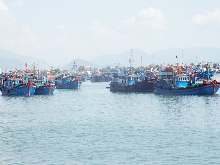 Tàu cá của ngư dân Khánh Hòa neo đậu tại Hòn Rớ, Nha Trang
