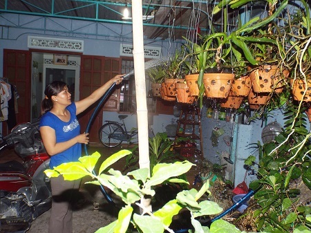 Vườn lan anh rất yêu thích chị vẫn chăm bón hàng ngày.