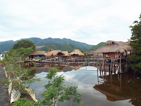 Ông Nguyễn Văn Hưng chỉ tay về hướng cánh rừng đước.