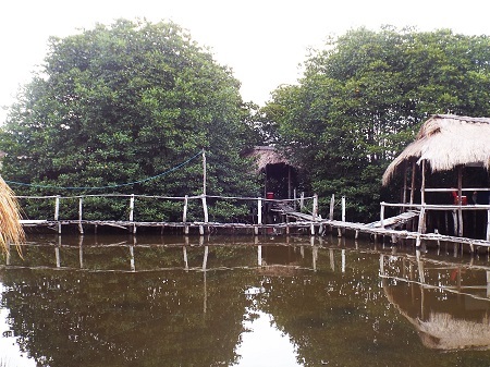 Việc phát triển du lịch sinh thái song song với việc gìn giữ và bảo vệ nguyên vẹn cánh rừng đước.