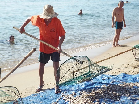 Nhân viên Ban quản lý Vịnh Nha Trang cào, vớt cầu gai cát vào sáng 20/8 để tiêu hủy.