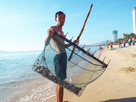 Chưa xác định nguyên nhân cầu gai cát xuất hiện bất thường