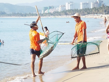 Chưa xác định nguyên nhân cầu gai cát xuất hiện bất thường