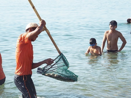 Chưa xác định nguyên nhân cầu gai cát xuất hiện bất thường
