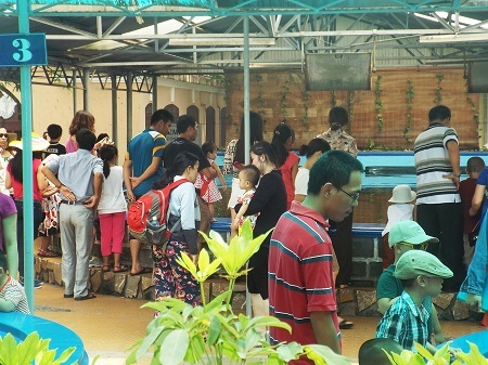 Viện Hải dương học Nha Trang đón một lượng khách tương đối lớn trong dịp Quốc khánh năm nay.