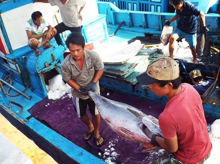 Mô hình “tàu mẹ - tàu con” giúp ngư dân yên tâm bám biển