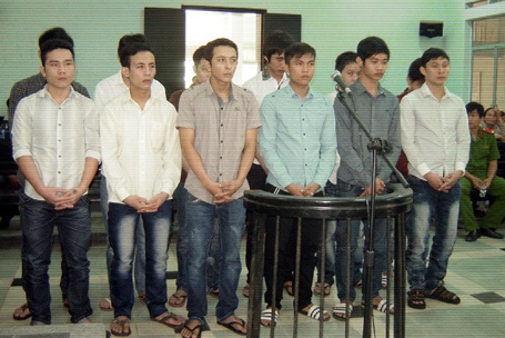 15 người vướng vòng lao lý vì cái cộ bò.