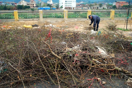 Phạm Ngọc Triển