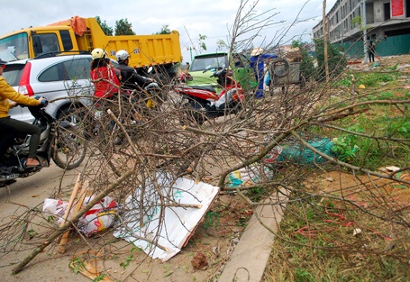 Phạm Ngọc Triển