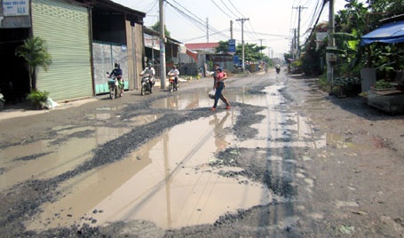 Chi chít ổ gà, ổ voi.