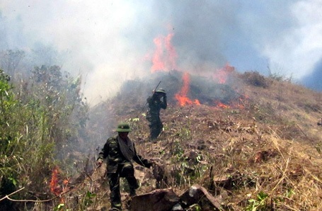 Nổ mìn, 50 ha rừng keo chìm trong biển lửa - 1 Gần 200 cán bộ, chiến sỹ và nhân dân tham gia chữa cháy.
