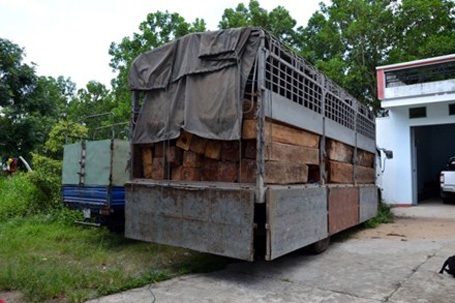 Tạm giữ xe mang biển số quân đội chở gỗ không nguồn gốc - 1 Xe tải BKS TK-72-87 tại hạt kiểm lâm huyện Đak Pơ