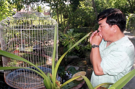 Gặp “lâm tặc” có biệt tài nói chuyện với chim trời - 2 Ông Cảm đang “tán tỉnh” với chú chim khứu nuôi trong nhà 15 năm nay.