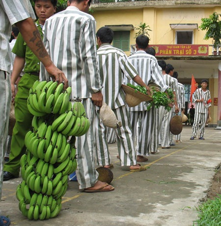 Đặc xá - nẻo về canh cánh (1) - 2 Phạm nhân trại giam 2 và thành quả một ngày lao động.