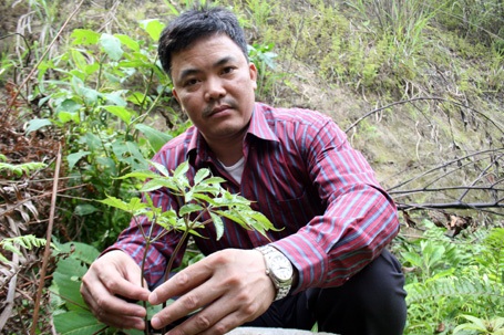 Lương y Hùng thường xuyên đi sưu tầm những cây thuốc quí chữa bệnh dạ dày.