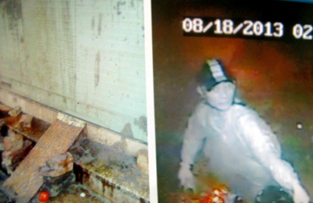 Hình ảnh camera nhà chị Ngọc ghi lại về kẻ ném bom bẩn.