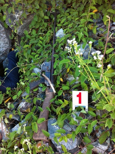 Nhiều nghi vấn về khẩu súng tự chế nằm bên thi thể chính chủ giữa rừng.