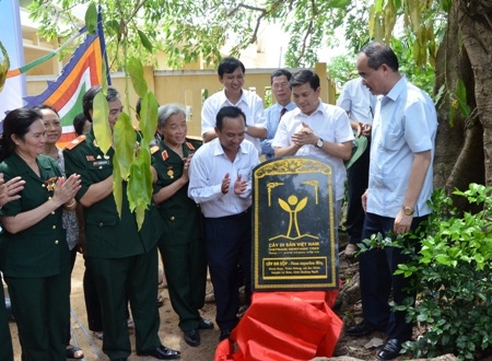 Nghi thức kéo biển cây di sản Việt Nam.