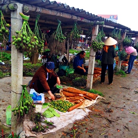 Những chùm cau được treo thành hàng.