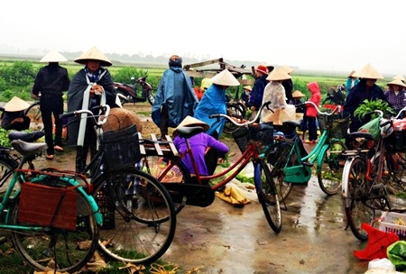 Phiên chợ quê bình dị dưới tiết mưa xu