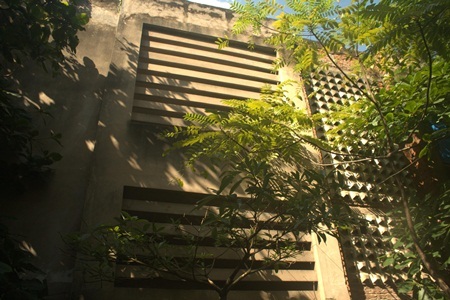 Trường học bỏ hoang 20 năm, chính quyền bất lực? - 2